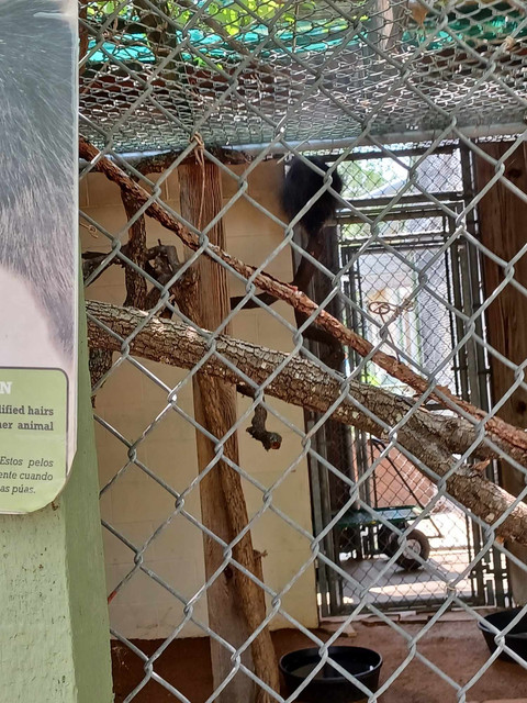 zoo5