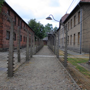 IMG-5849