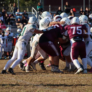 IMG-5530