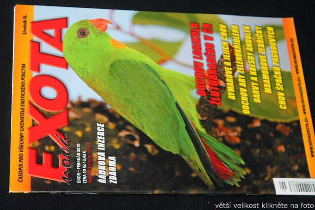 IMG-7799