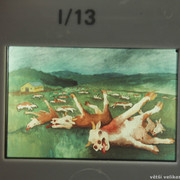 IMG-1201
