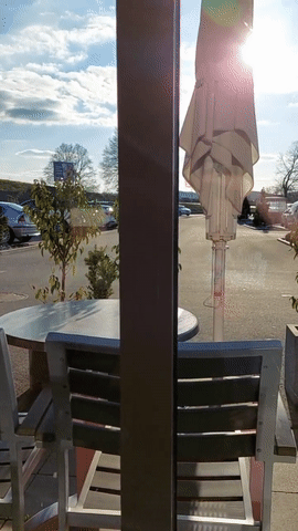 Hallo.gif