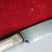 IMG-8304