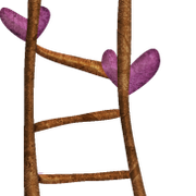 Ladder1