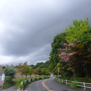 P1340954