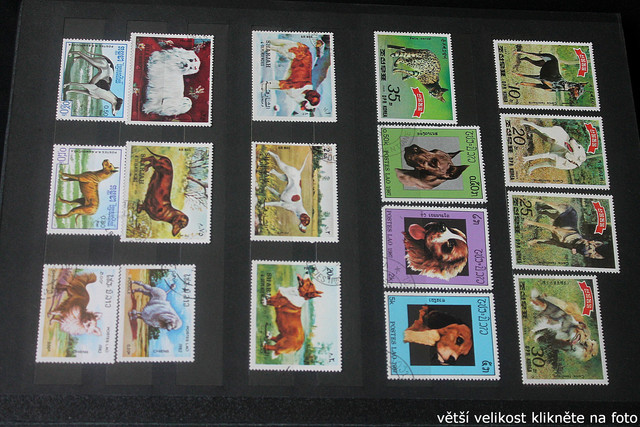 IMG-2228