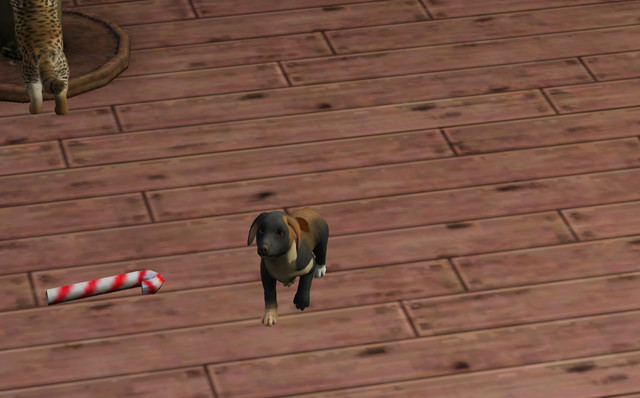 Screenshot-19