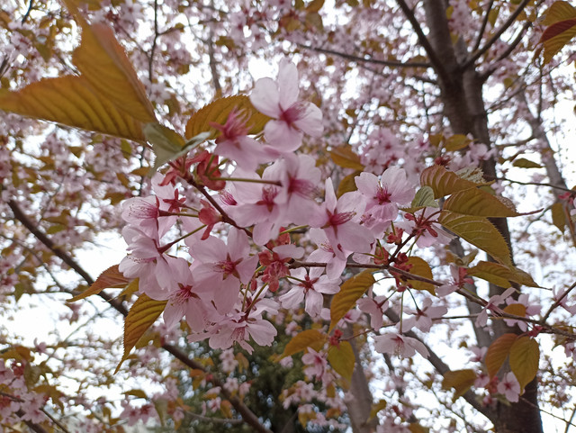 IMG-20240507-133505