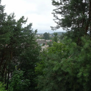 DSC01533 5
