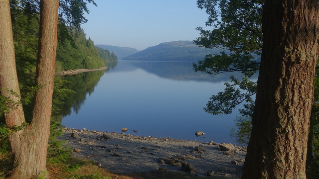 DSC09335.jpg