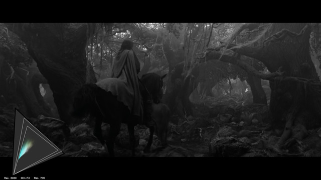 gamut-LOTR30019