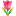 https://i.ibb.co/cyYLddk/u1-F337-98-11zon.png