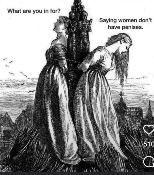 tranny8.jpg