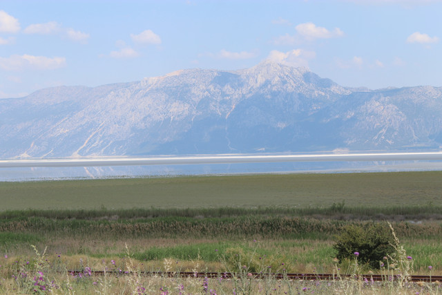 IMG-7724