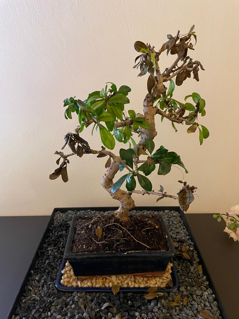 Unknown-2