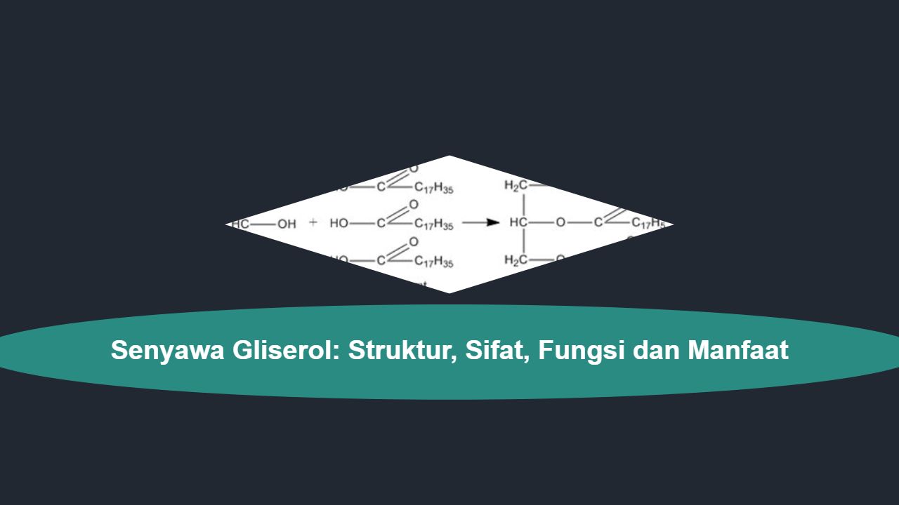 Senyawa Gliserol: Struktur, Sifat, Fungsi dan Manfaat