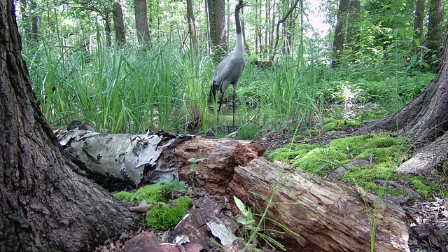DSCF0566.jpg