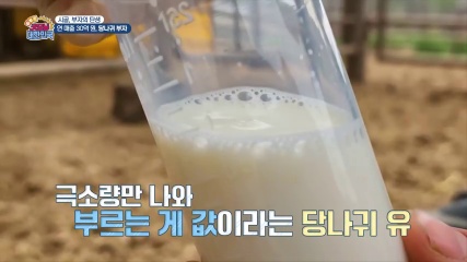 굿모닝대한민국 당나귀유 화장품 추가 캡처 2