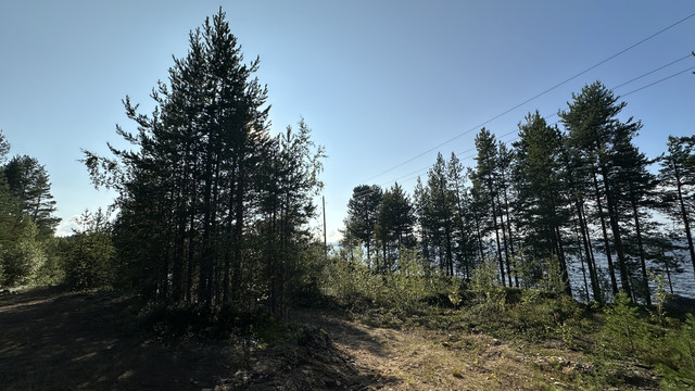 IMG 5442.jpg