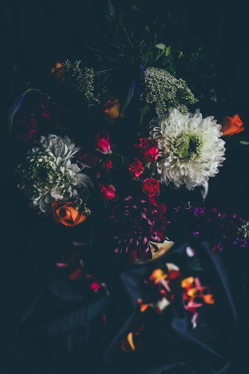 High quality Dark Aesthetic Wallpaper wallpaper by StockSnap from Pixabay