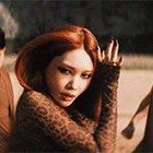 6.gif