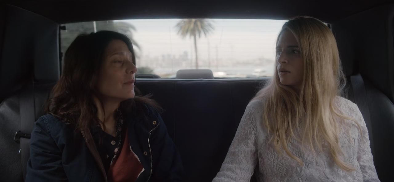 The OA Screenshot