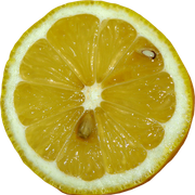 58