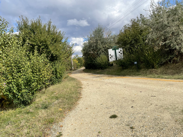 IMG 0348.jpg