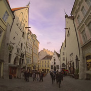 OLYMPUS-DIGITAL-CAMERA