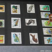 IMG-2253