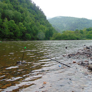 DSC05873
