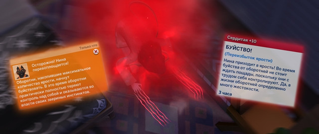 33 1.jpg
