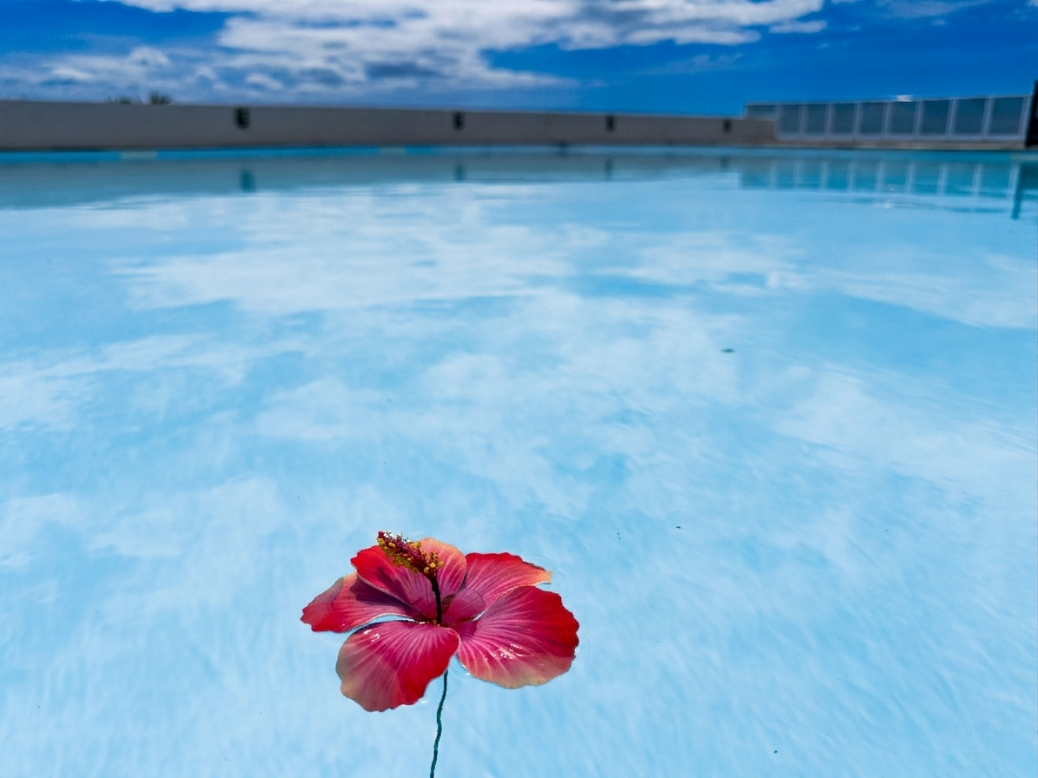 Pool area at dusk with flowers