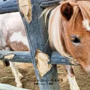 Zoo Negara4