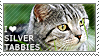 tabby.png