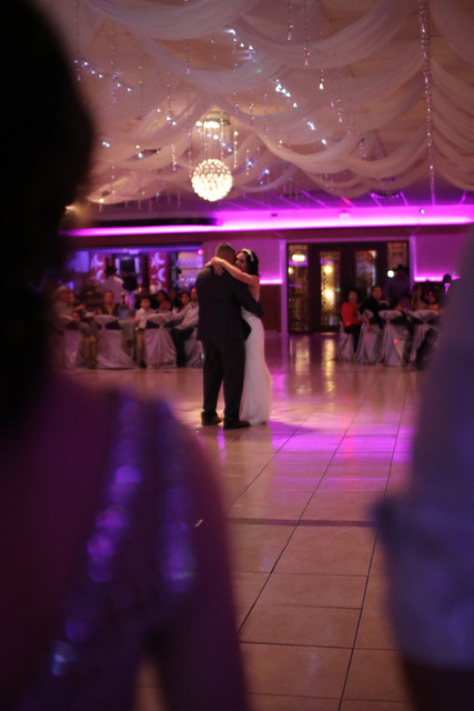 IMG-3560