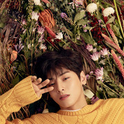 cha eun woo 1223164