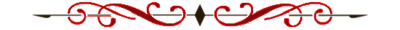 Profile-divider.png