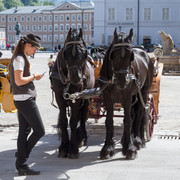 IMG-0611-2
