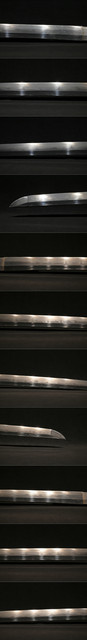 DSC6173.jpg