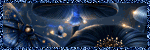 Visit Main Blog