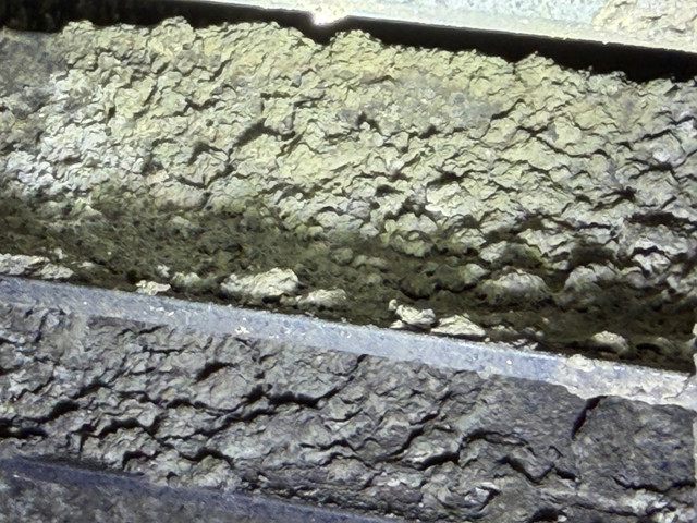 IMG 2523.jpg