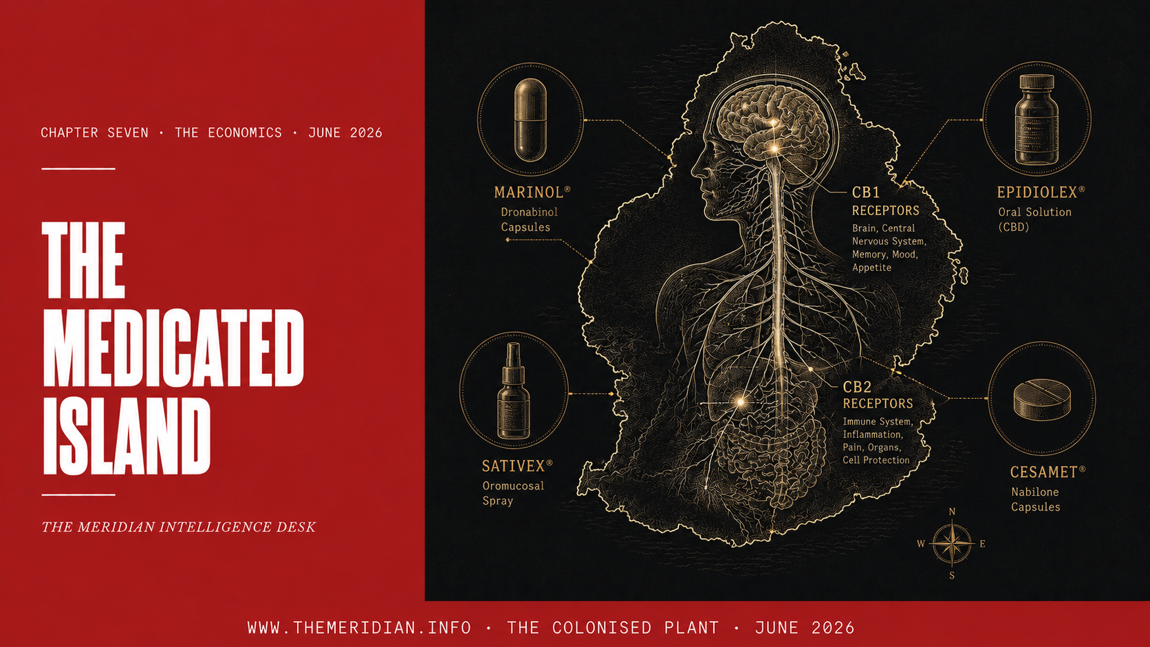 The Medicated Island Cannabis Health System Mauritius The Meridian