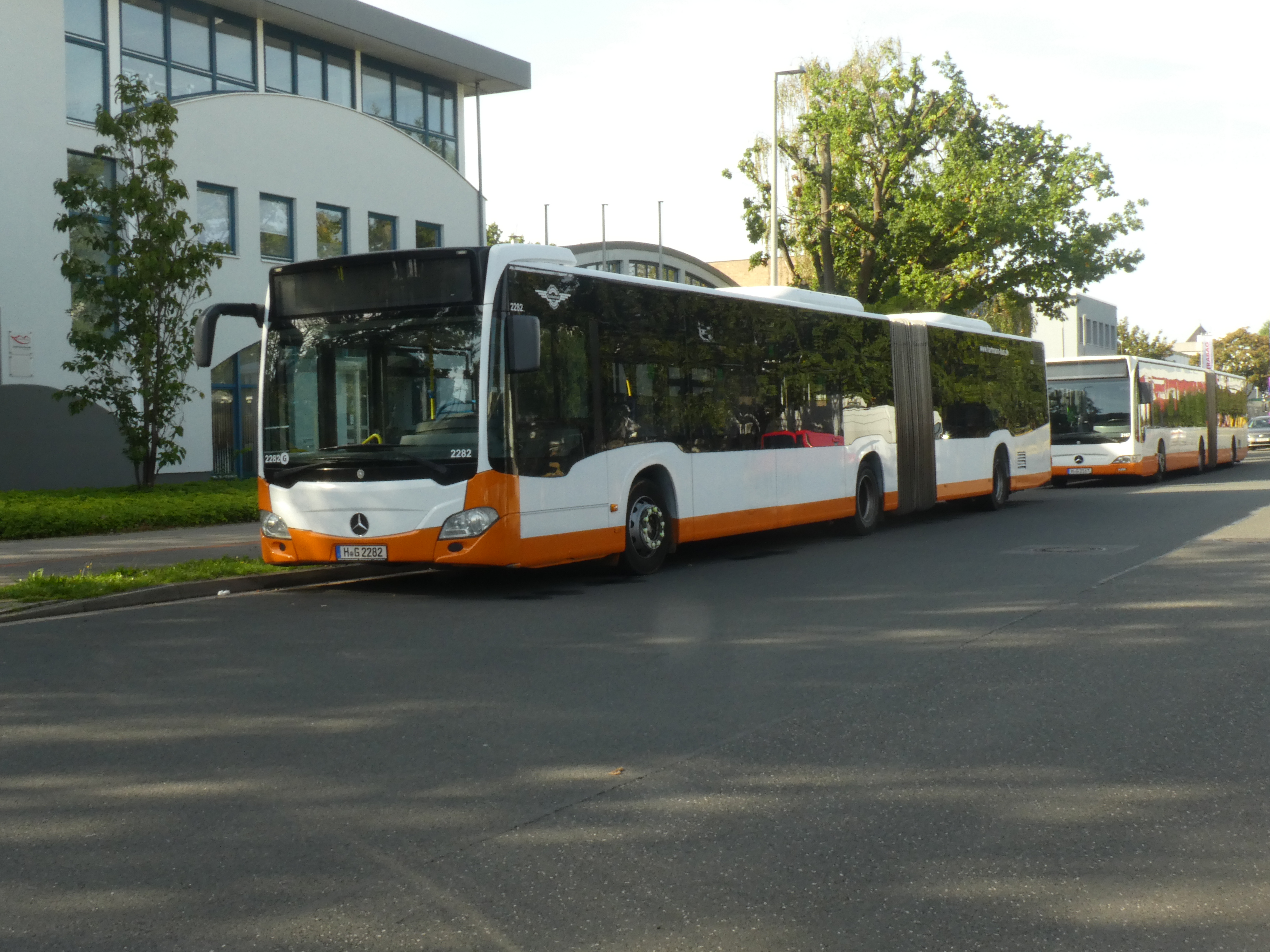 i.ibb.co/d0Y9W6n9/Hartmann-2282-12.jpg