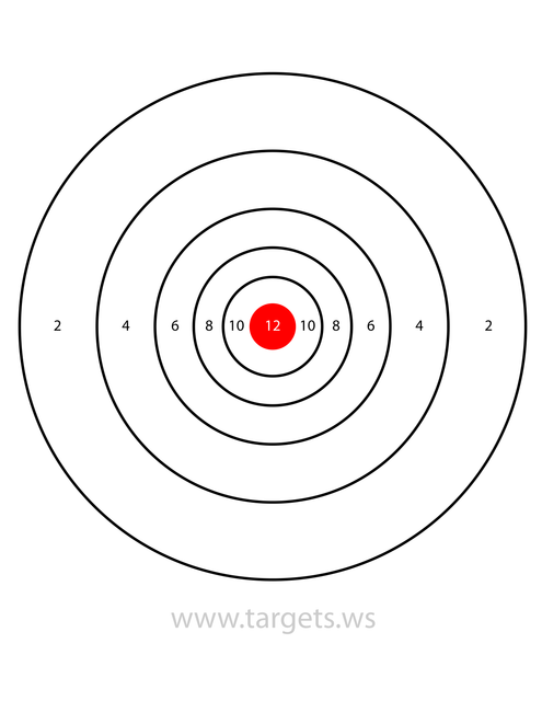 bullseye target 20