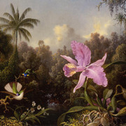 Orchid-and-Two-Hummingburds