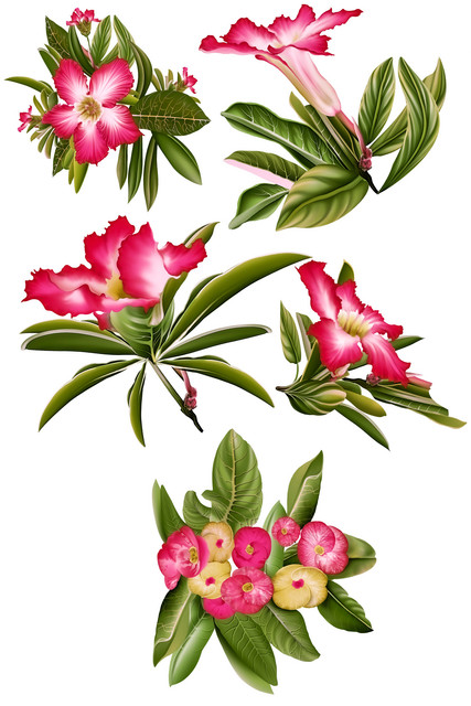 shutterstock 1663990522.jpg