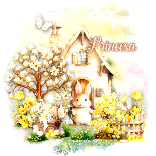 Princesa 94ºBanner.png