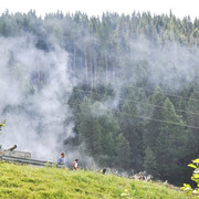 DSC 9179