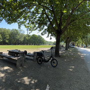 IMG 6242